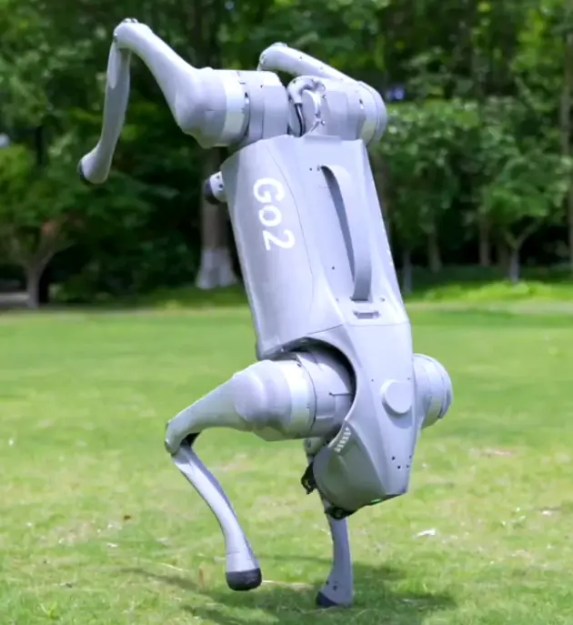 Unitree Go2 robot köpek akrobatik hareket performansı